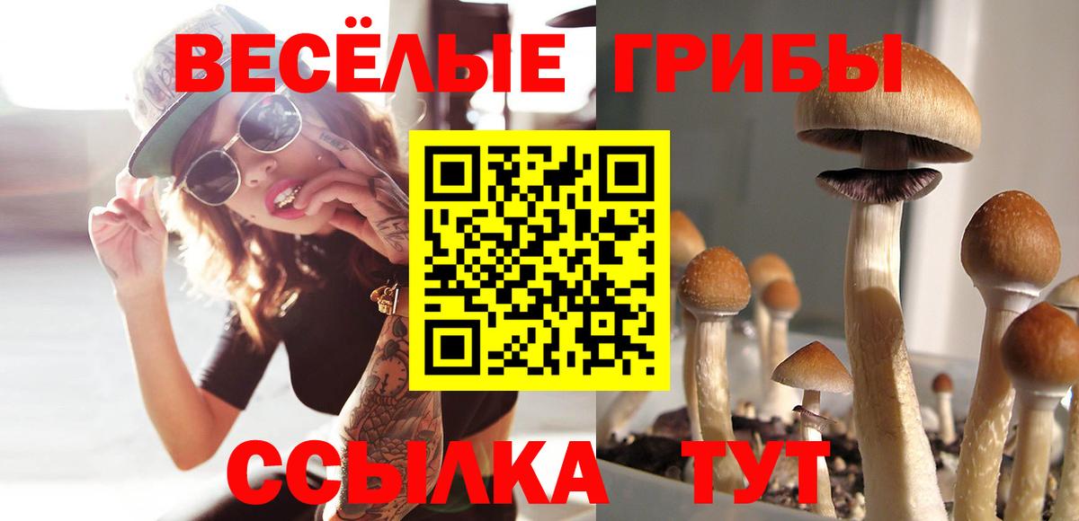 Псилоцибиновые грибы Magic Shrooms  где купить наркоту  Комсомольск-на-Амуре  Вход с VPN 