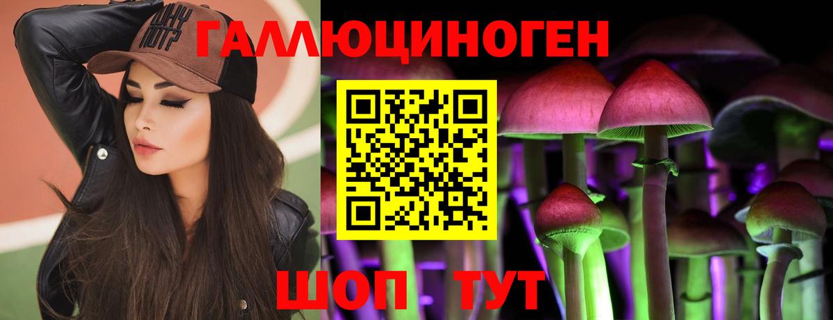 Галлюциногенные грибы GOLDEN TEACHER Комсомольск-на-Амуре